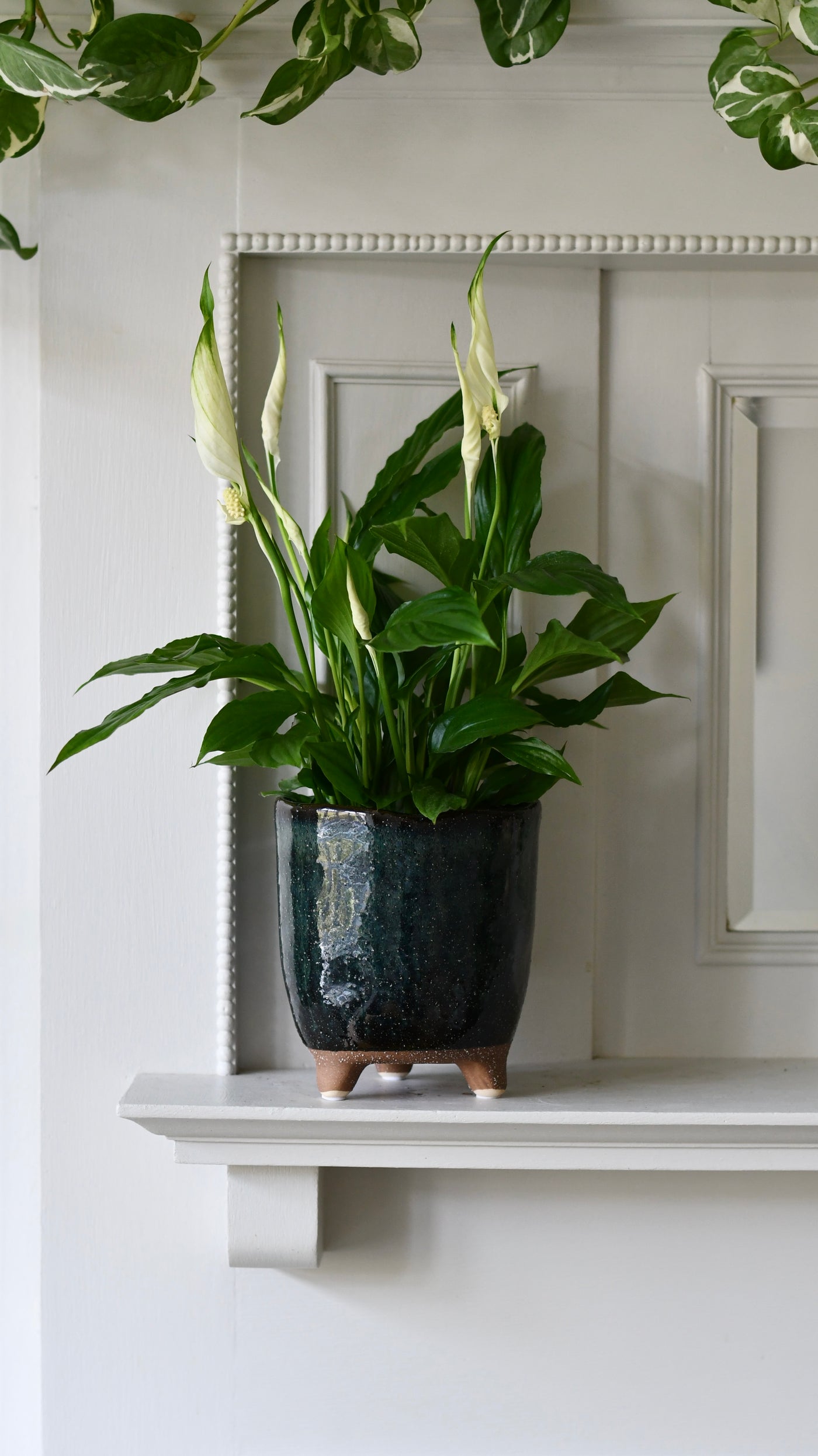 Strandfoot Petrol Planter 16cm x 16cm