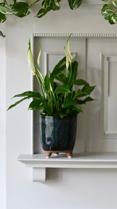 Strandfoot Petrol Planter 16cm x 16cm