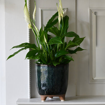 Strandfoot Petrol Planter 16cm x 16cm