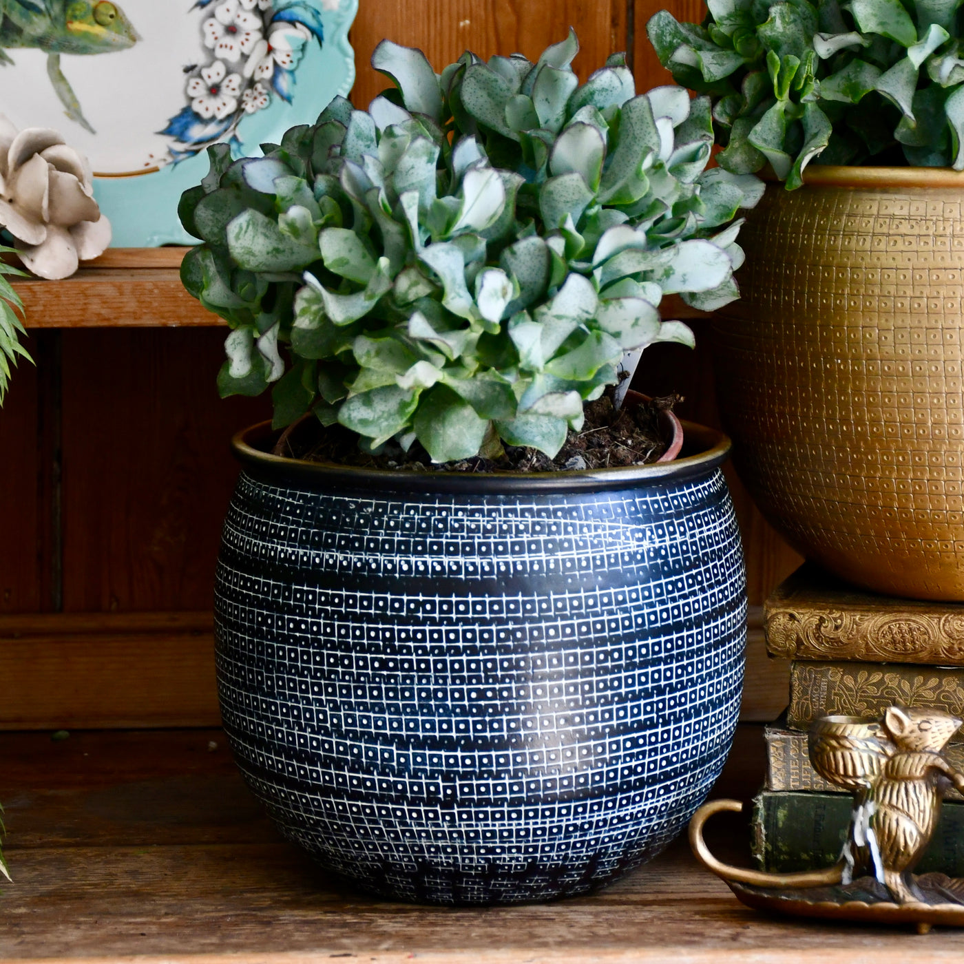 Tembesi Etched Planter - Antique Black & Brass 18cm