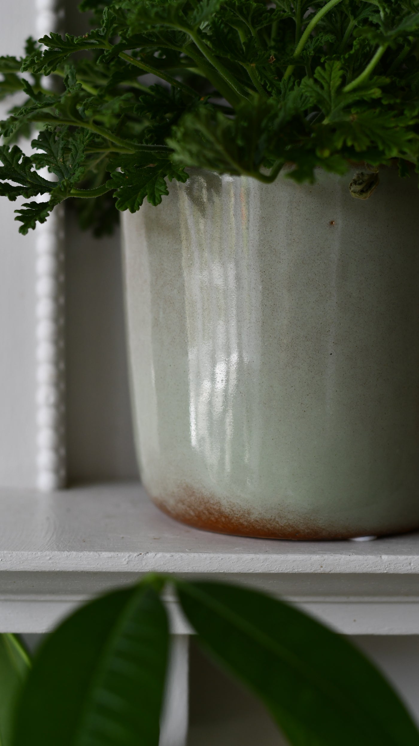 Luna thyme Retro Ceramic Pot