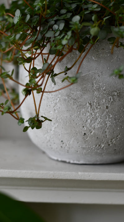 Rugged Charm Cement  Indoor Plant Pot 12 x 13cm