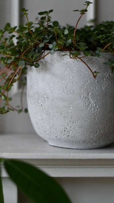 Rugged Charm Cement  Indoor Plant Pot 12 x 13cm