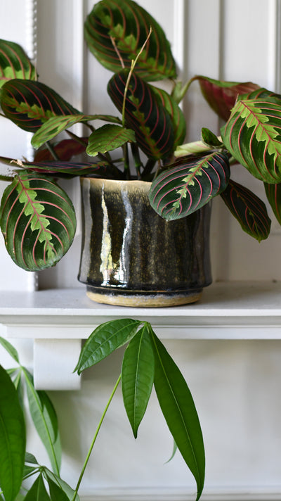 Thicket Glaze D14 H12 Plant Pot