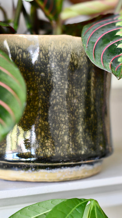 Thicket Glaze D14 H12 Plant Pot