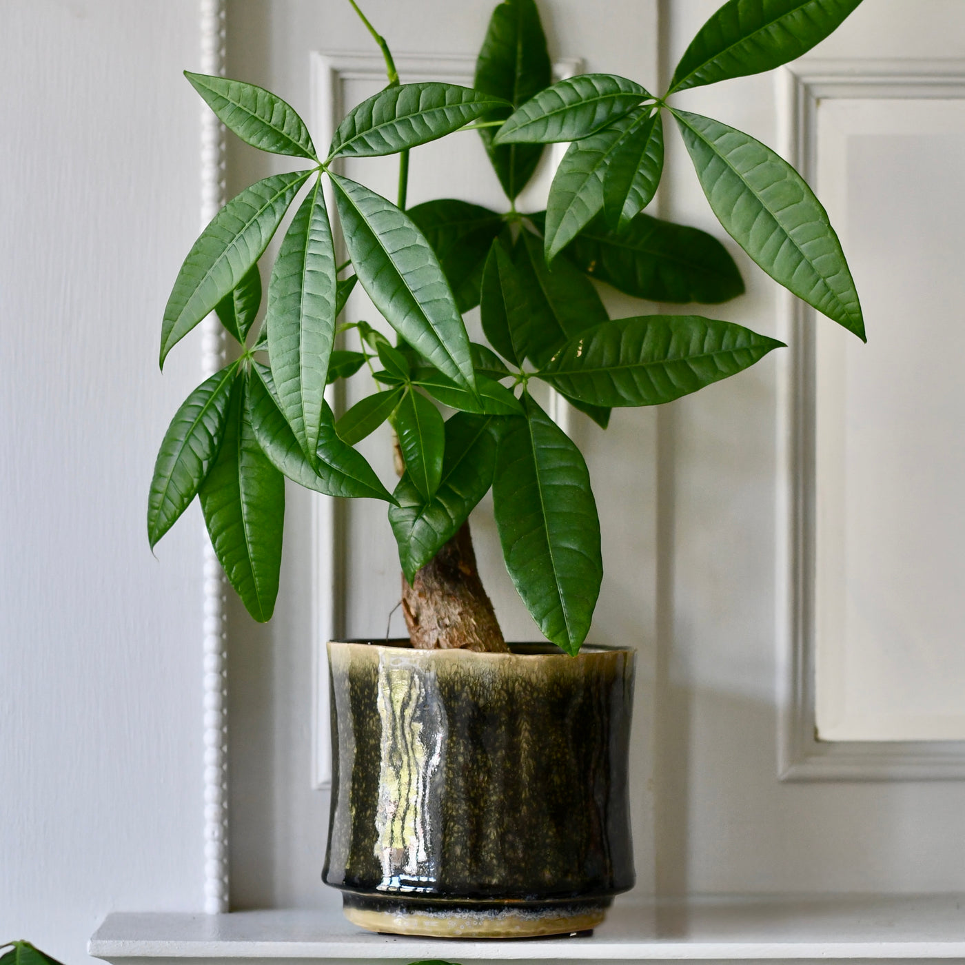 Thicket Glaze D14 H12 Plant Pot