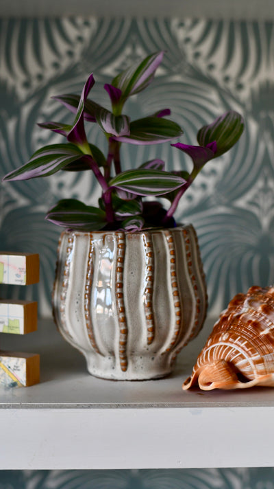 The Sandbar Ceramic Pot 10cm