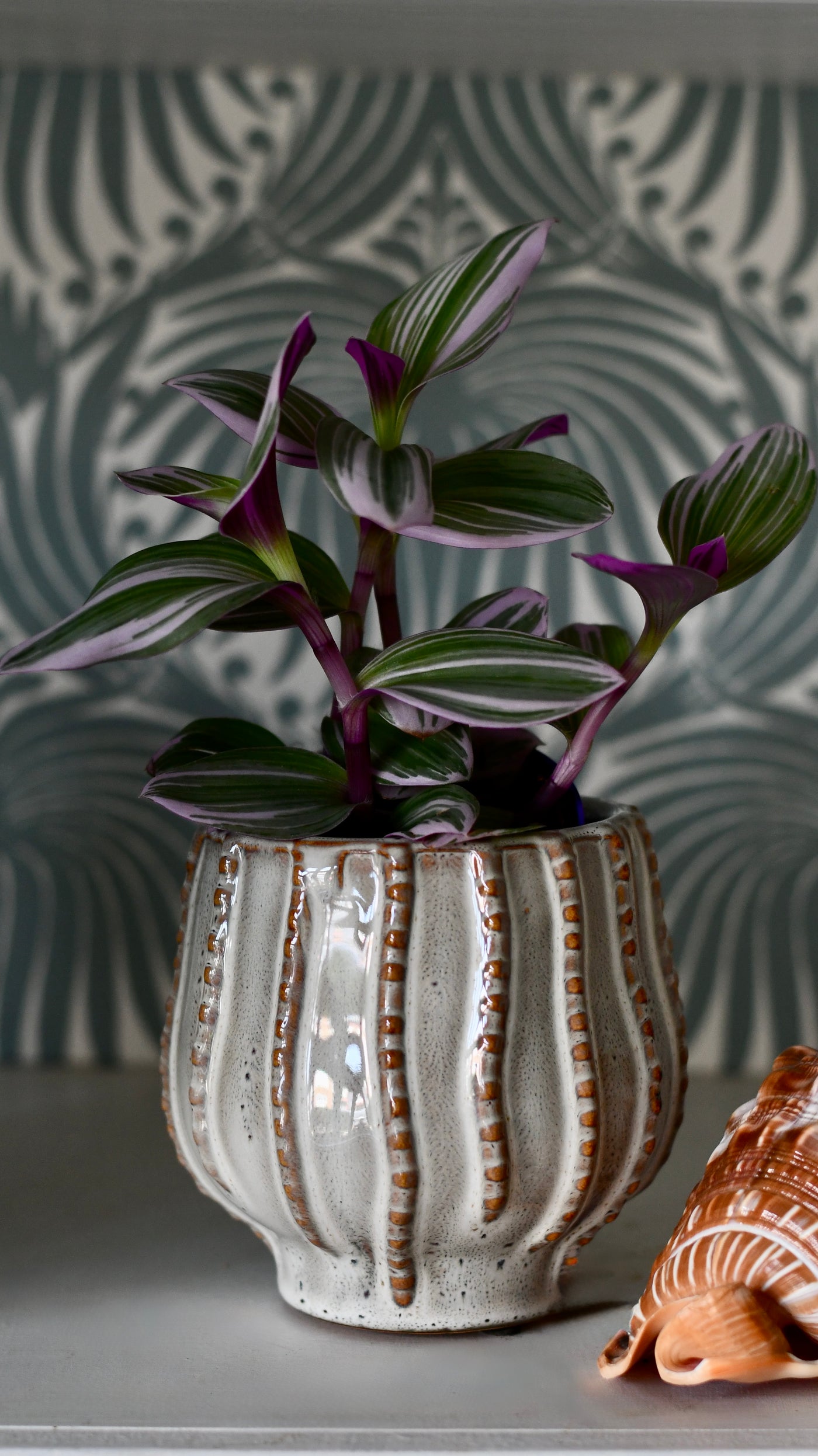 The Sandbar Ceramic Pot 10cm