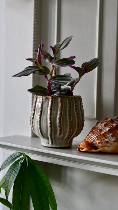 The Sandbar Ceramic Pot 10cm