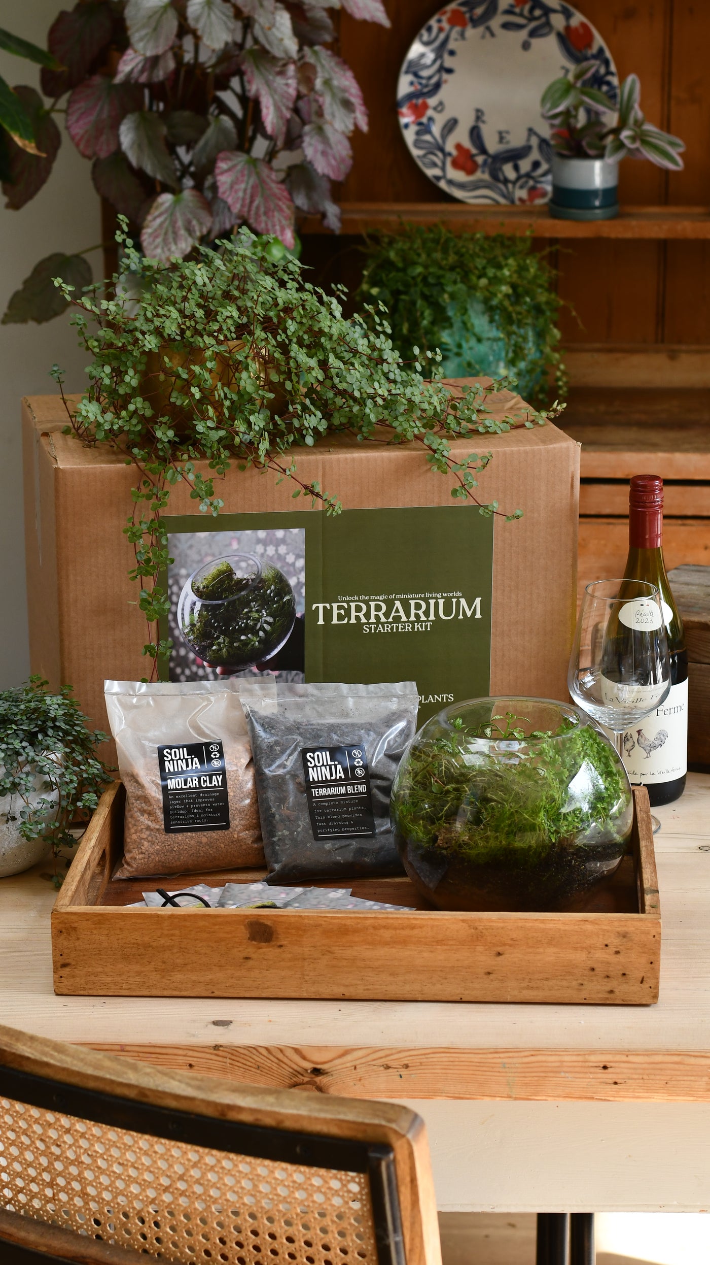 Closed terrarium kit in glass bowl with tropical plants