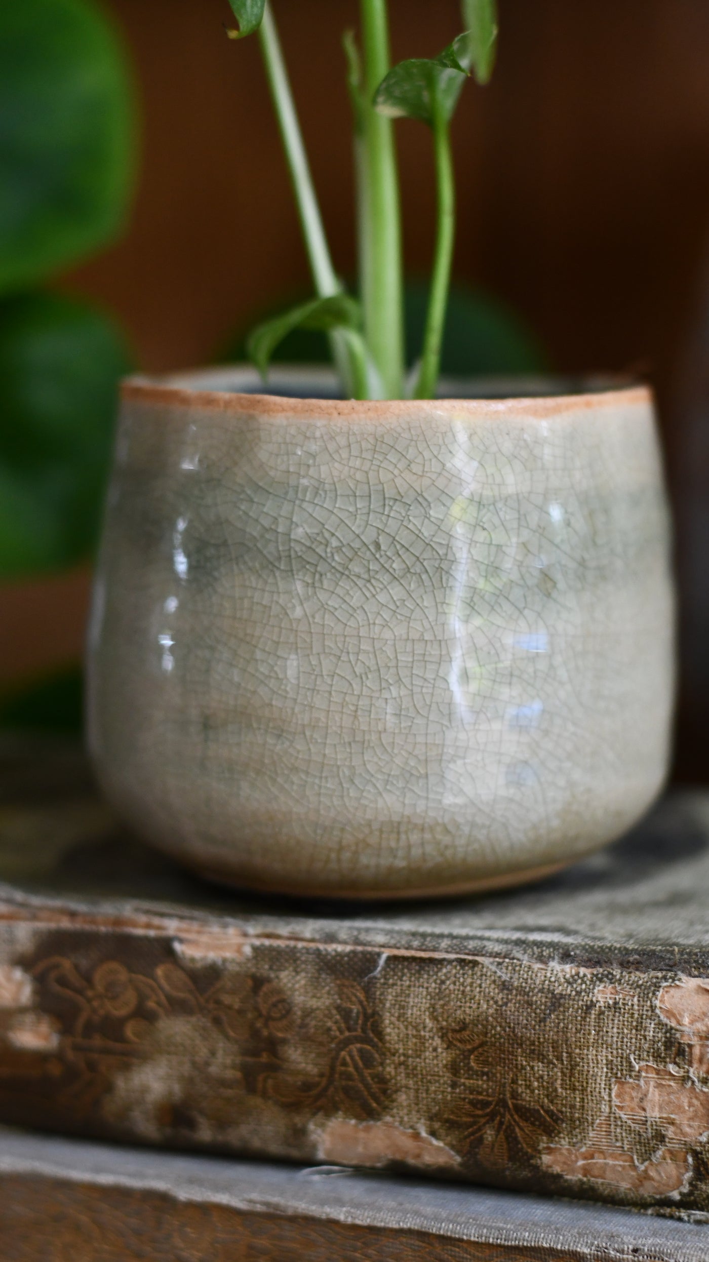 Iris Mint Glazed Pot (D8 H7cm)