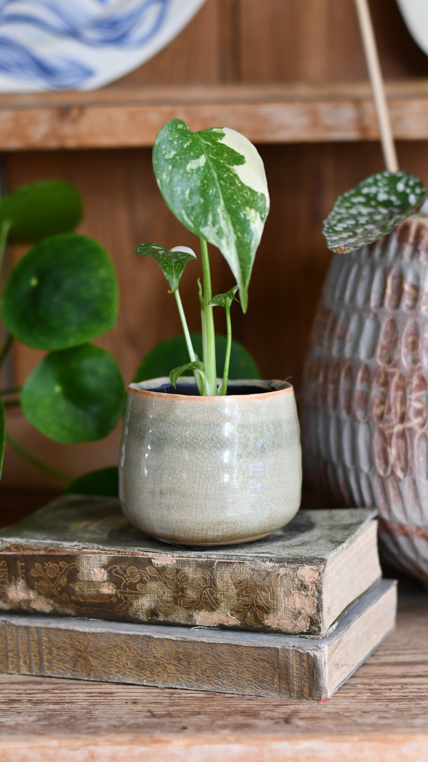 Iris Mint Glazed Pot (D8 H7cm)