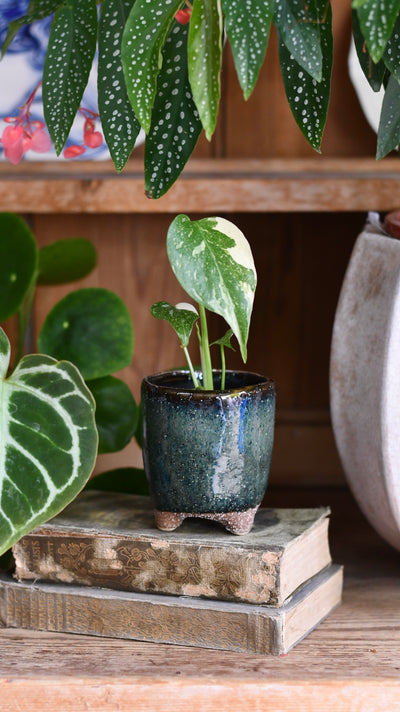 Petrol Blue Pot with Feet (D8 H8cm)