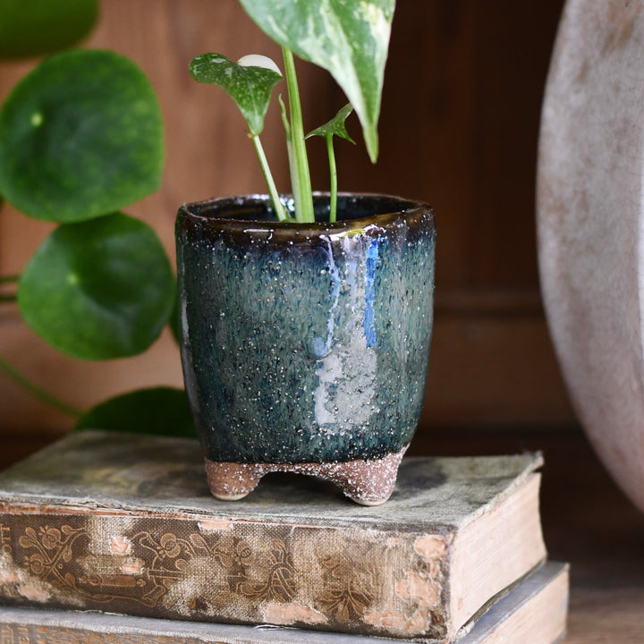 blue glazed plant pot feet Petrol Blue Pot with Feet (D8 H8cm) – Happy Houseplants