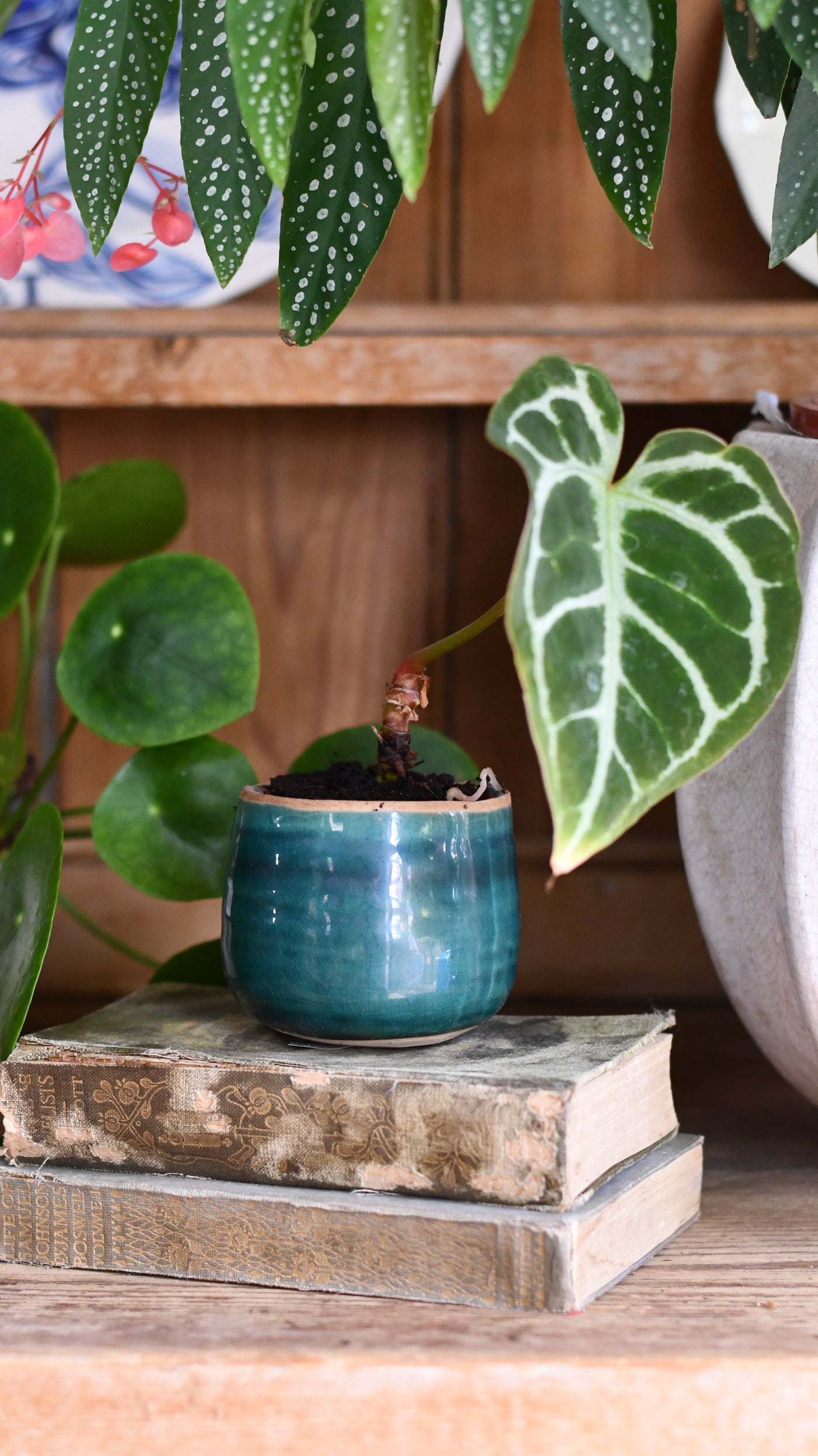 Iris Turquoise Glazed Pot (D8 H7cm)