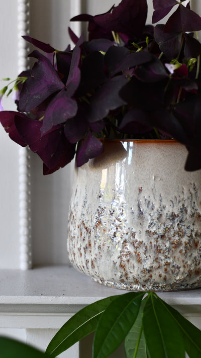 Rustic farmhouse cream D15 H13