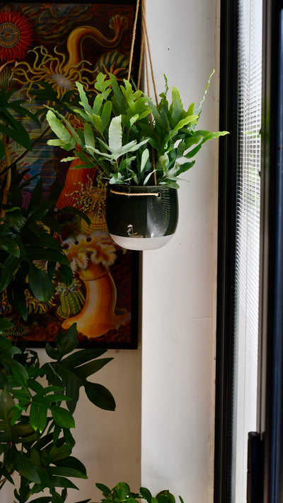 Resa Ceramic Planter Blue & White (D17 x H16cm)