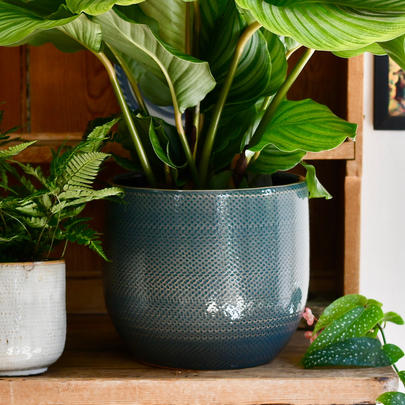 blue indoor plant pots Gabriele Pot Round Blue (H20 x W25cm) – Happy Houseplants