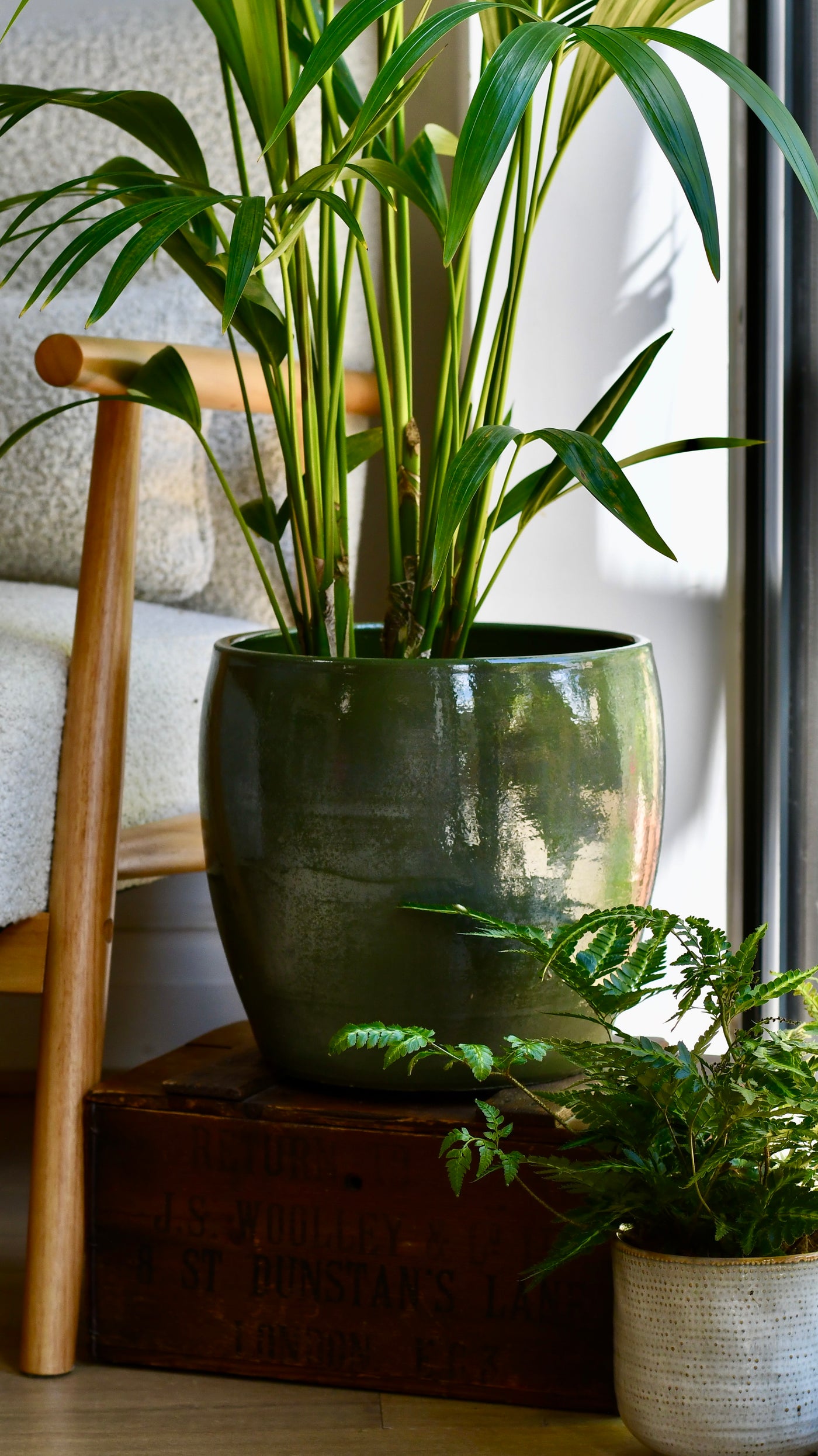 large plant pots indoor 30cm Lester Pot Round Green (30cm) – Happy Houseplants