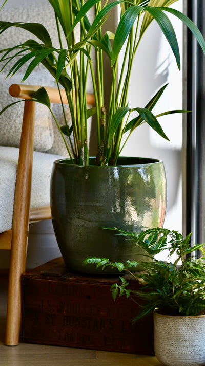 Lester Pot Round Green (H26 x W28cm)