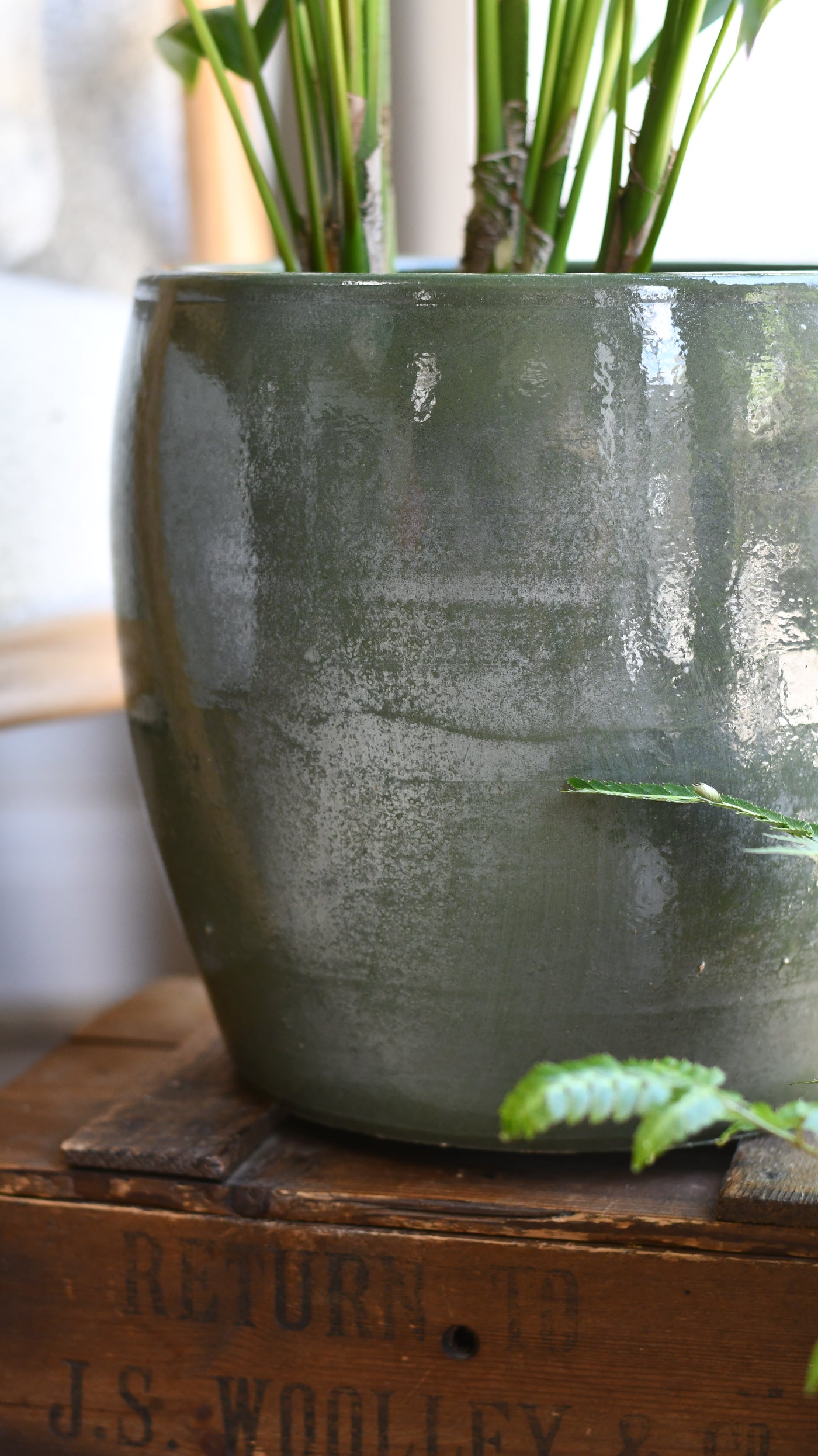Lester Pot Round Green (H26 x W28cm)