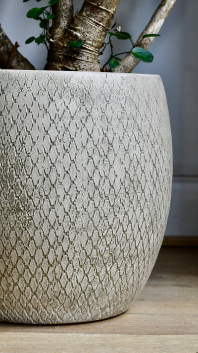 Madeira Pot Round Cream (H32 x D32cm)