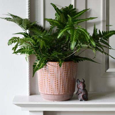 Willow Pink Retro Ceramic Pot (D14 x H13cm)