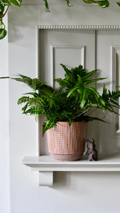 Willow Pink Retro Ceramic Pot (D14 x H13cm)