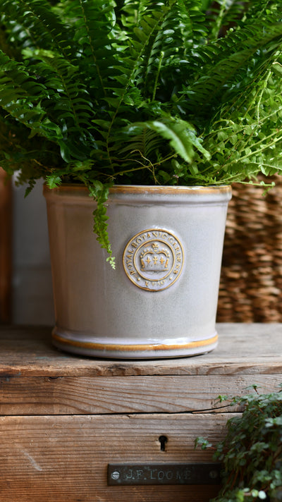 Kew Ivory  Premium Glaze Planter 16cm