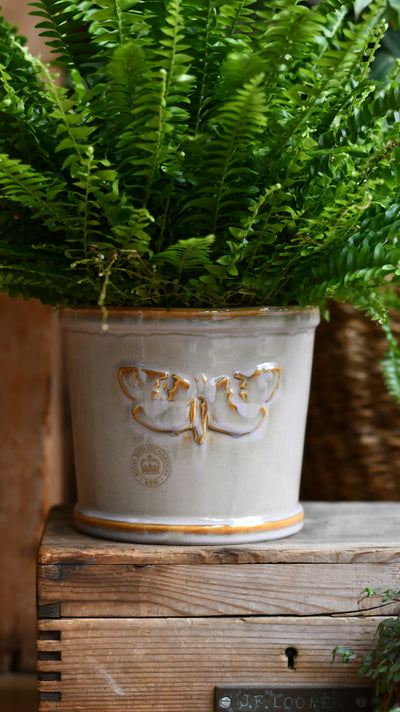 Kew Ivory  Premium Glaze Planter 16cm