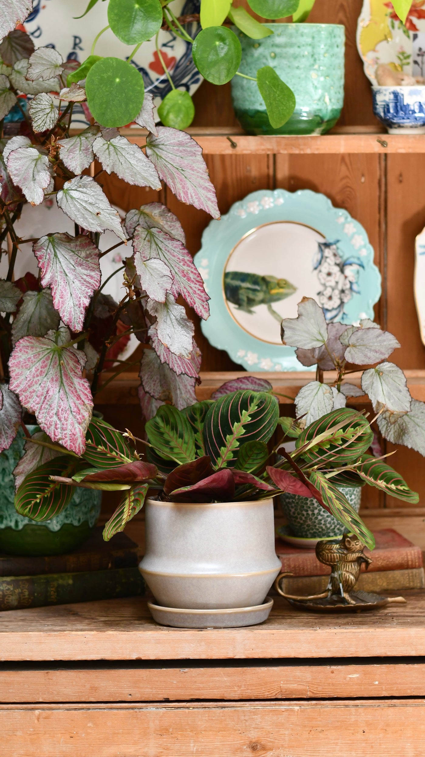 Jent Cotton Ceramic Pot & Saucer (D16 x H13cm) – Neutral Glaze Indoor Planter