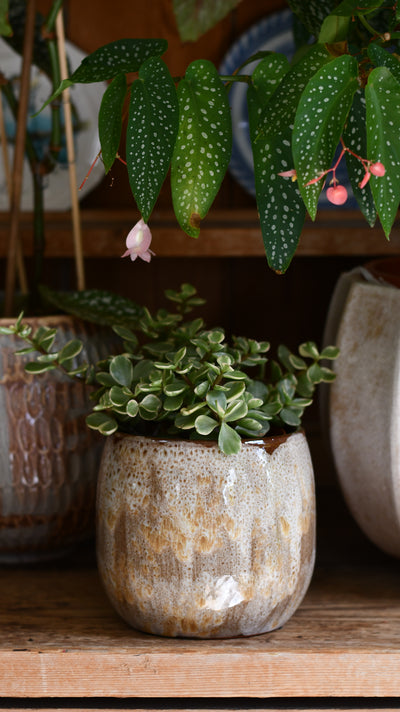 Tara Forest Ceramic Pot (D15 x H13cm) – Grey-Green Reactive Glaze Planter