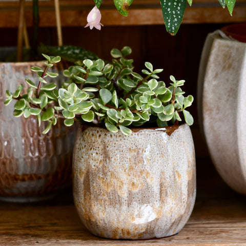 Tara Forest Ceramic Pot (D15 x H13cm) – Grey-Green Reactive Glaze Planter