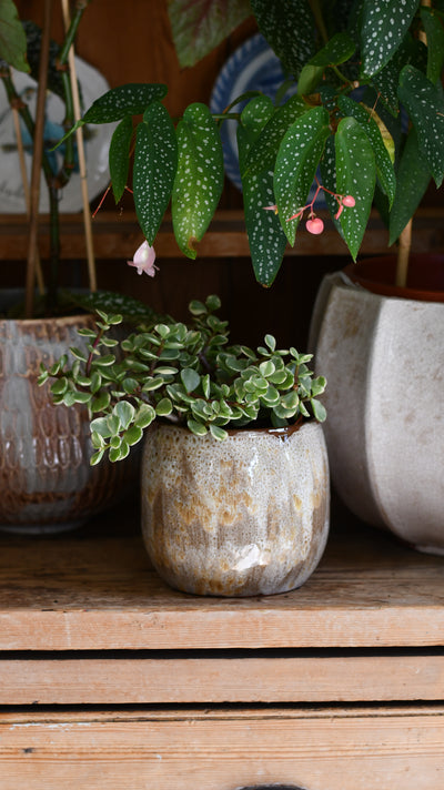 Tara Forest Ceramic Pot (D15 x H13cm) – Grey-Green Reactive Glaze Planter
