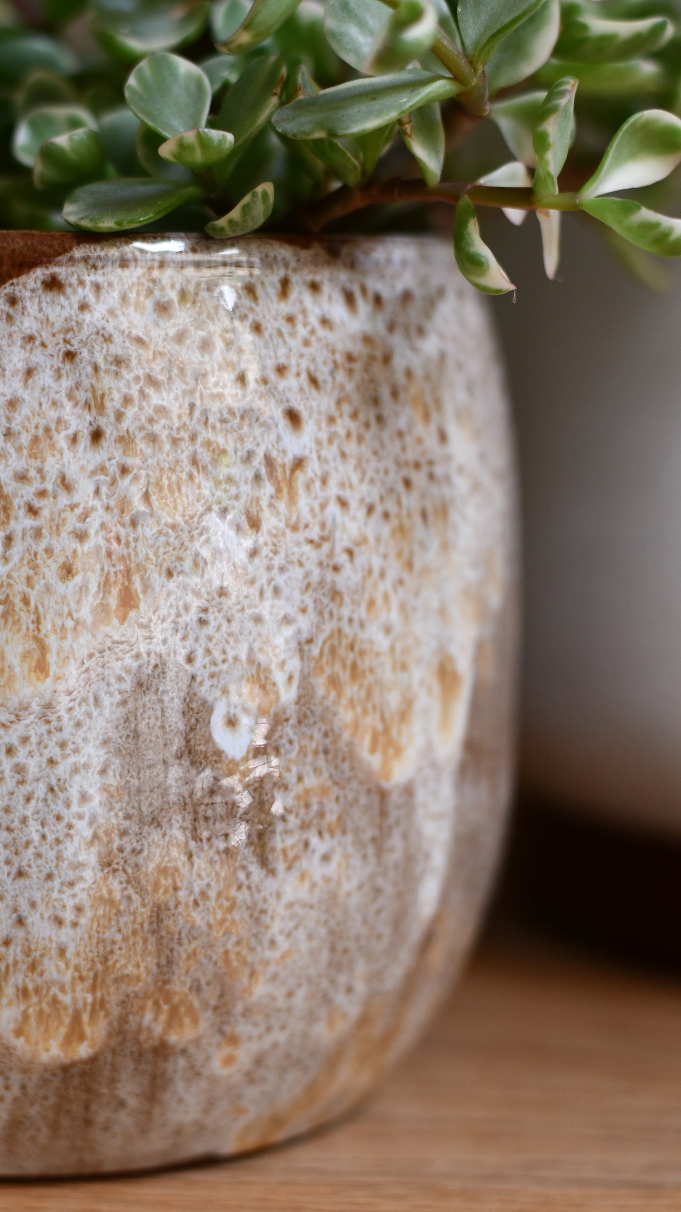 Tara Forest Ceramic Pot (D15 x H13cm) – Grey-Green Reactive Glaze Planter