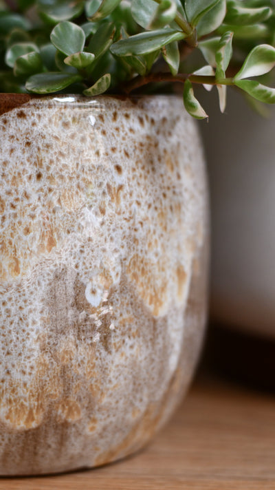 Tara Forest Ceramic Pot (D15 x H13cm) – Grey-Green Reactive Glaze Planter