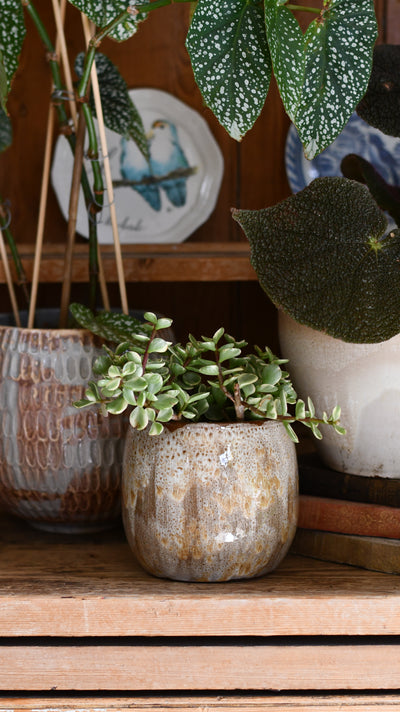 Tara Forest Ceramic Pot (D15 x H13cm) – Grey-Green Reactive Glaze Planter