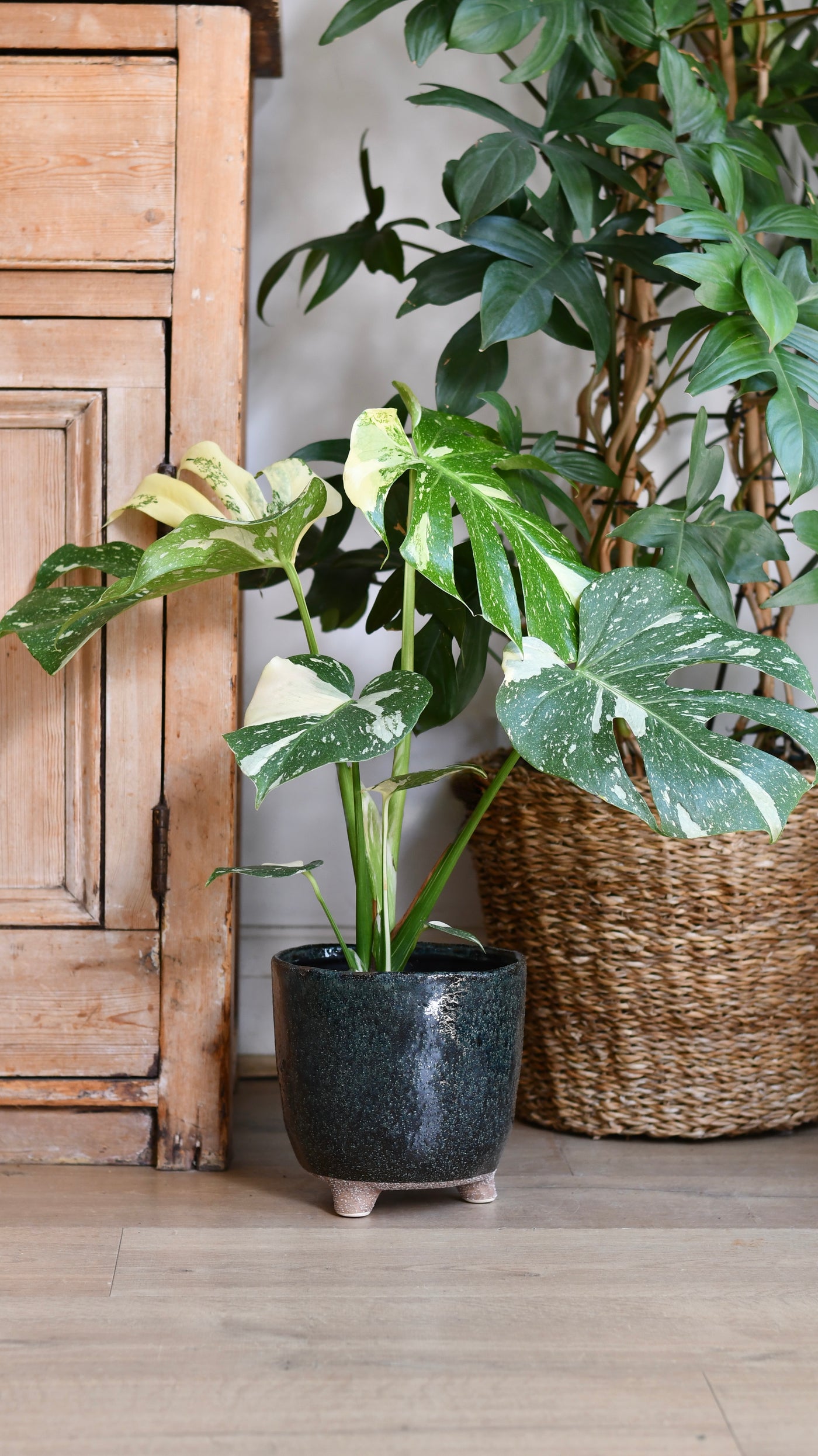 Strandfoot Petrol Planter 19cm x 18cm