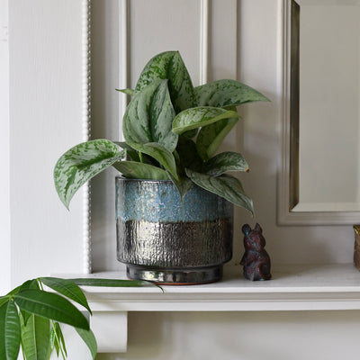 Vita Lead Ceramic Pot (D15 x H13cm) – Turquoise and Brown Reactive Glaze Planter