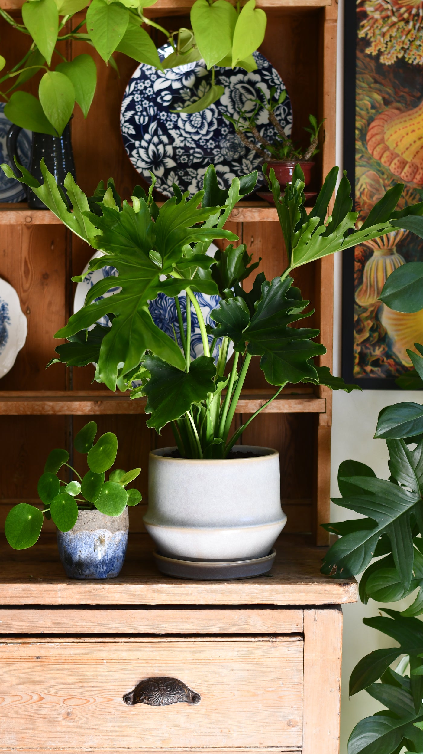 Jent Cotton Ceramic Pot & Saucer (D21 x H17cm) – Neutral Glaze Indoor Planter