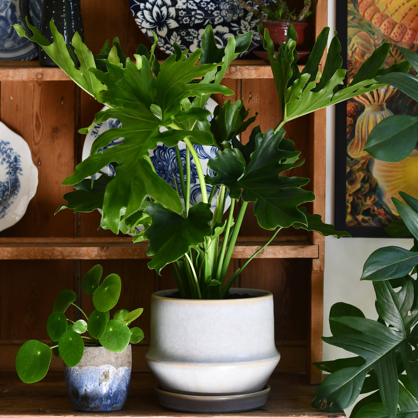 Jent Cotton Ceramic Pot & Saucer (D21 x H17cm) – Neutral Glaze Indoor Planter