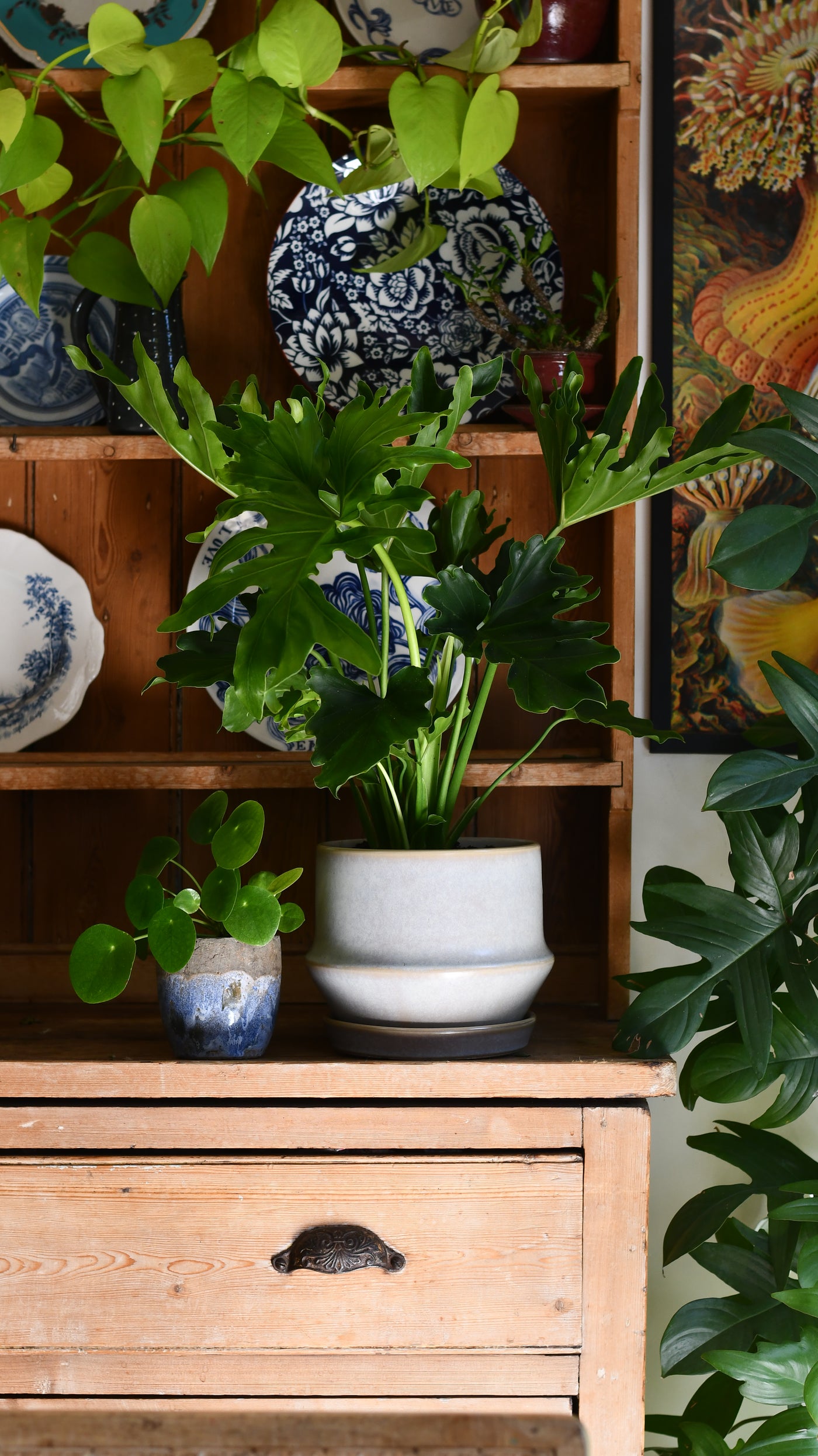 Jent Cotton Ceramic Pot & Saucer (D21 x H17cm) – Neutral Glaze Indoor Planter