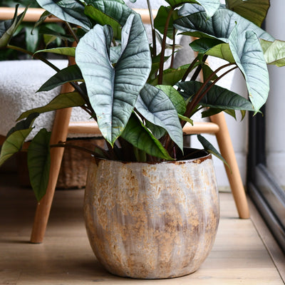 Suus Latte Ceramic Pot 25cm – Warm Reactive Glaze Planter
