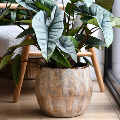 Suus Latte Ceramic Pot 25cm – Warm Reactive Glaze Planter