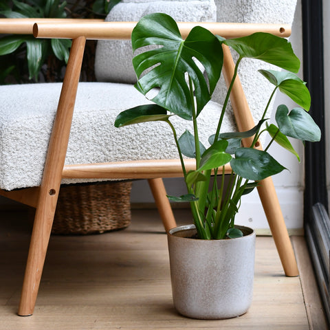Luna Sand Retro Ceramic Pot