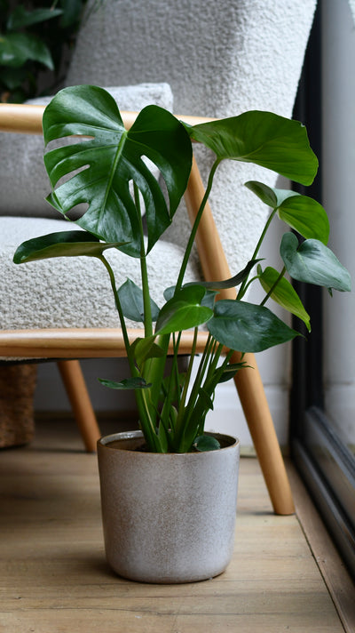 Luna Sand Retro Ceramic Pot