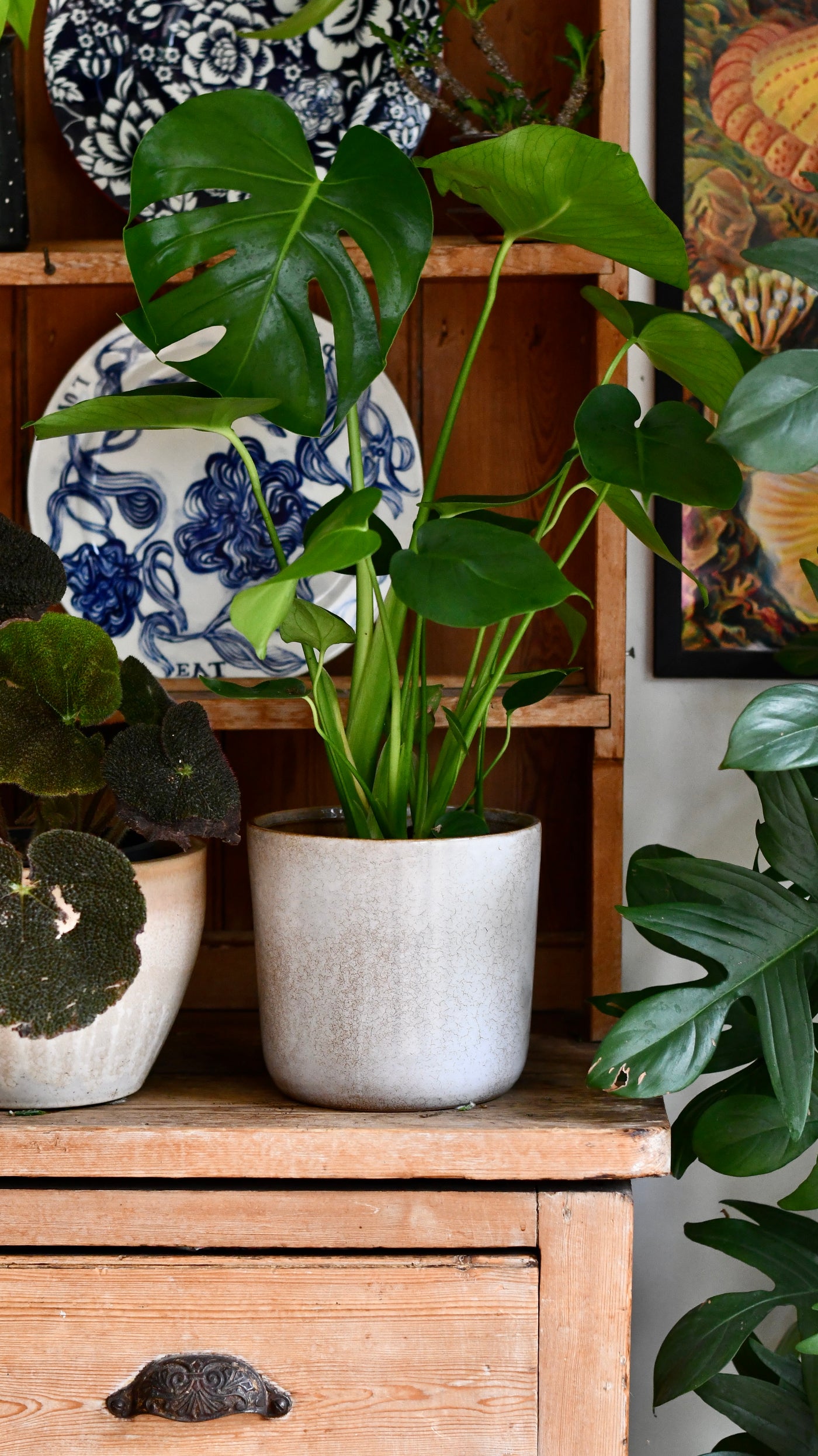 Luna Sand Retro Ceramic Pot