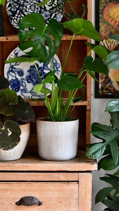 Luna Sand Retro Ceramic Pot
