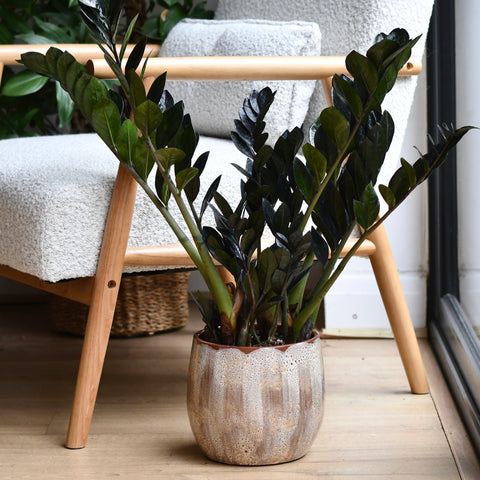 Suus Latte Ceramic Pot 22cm – Warm Reactive Glaze Planter
