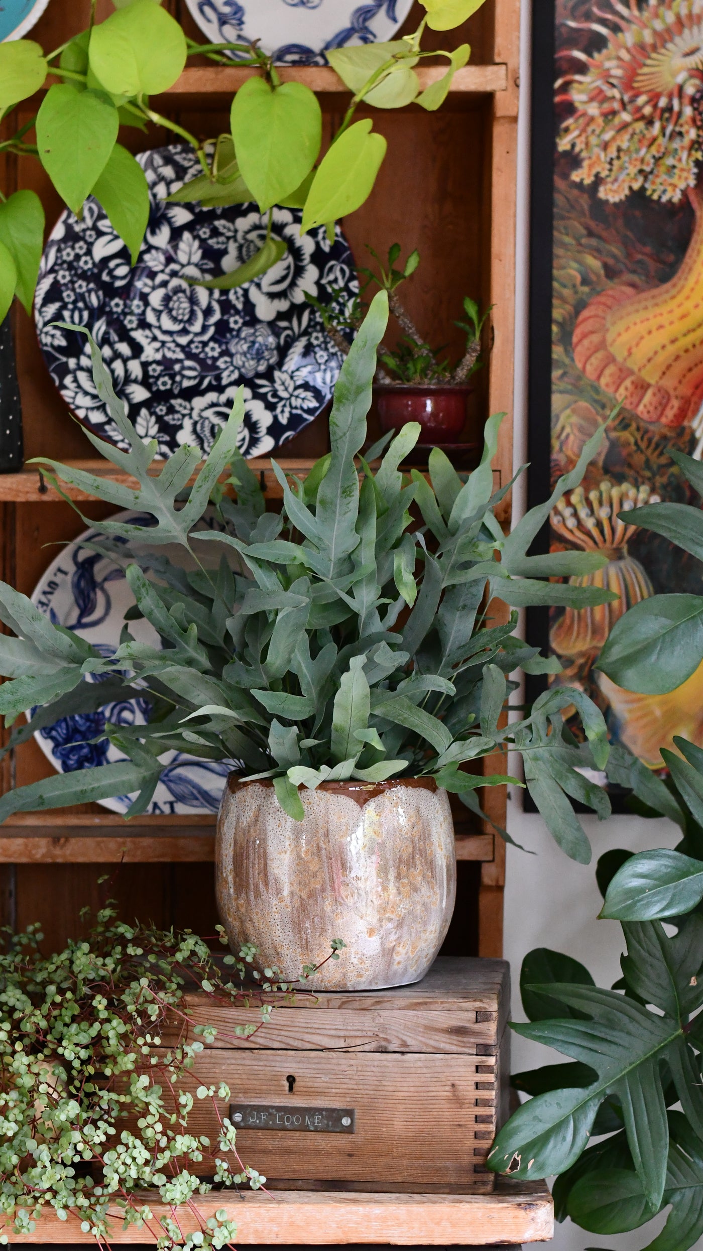 Suus Latte Ceramic Pot 16cm – Warm Reactive Glaze Planter